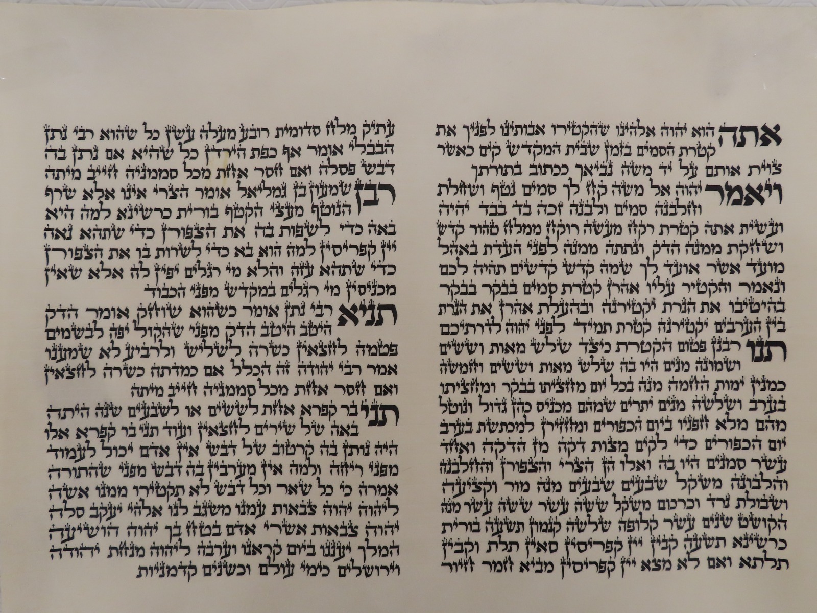 WhatsApp Image 2021-08-03 at 12.19.27